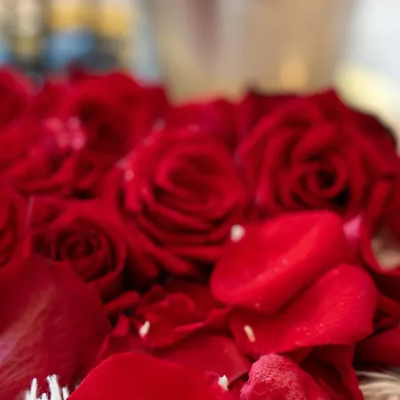 Royal Heart Lejlighed *